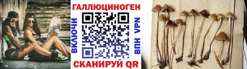 Галлюциногенные грибы ЛСД  купить наркотик  Реутов 